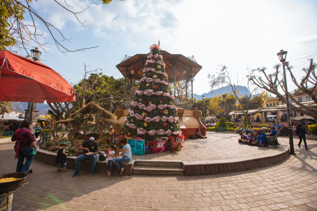 Weihnachtsbaum und Chinelo am zócalo von Tepoztlán