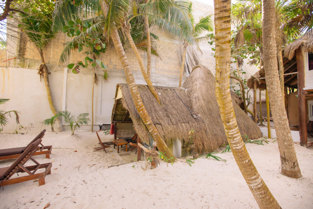 Palmen wachsen durch das Dach der cabaña bei der Playa Xcanan