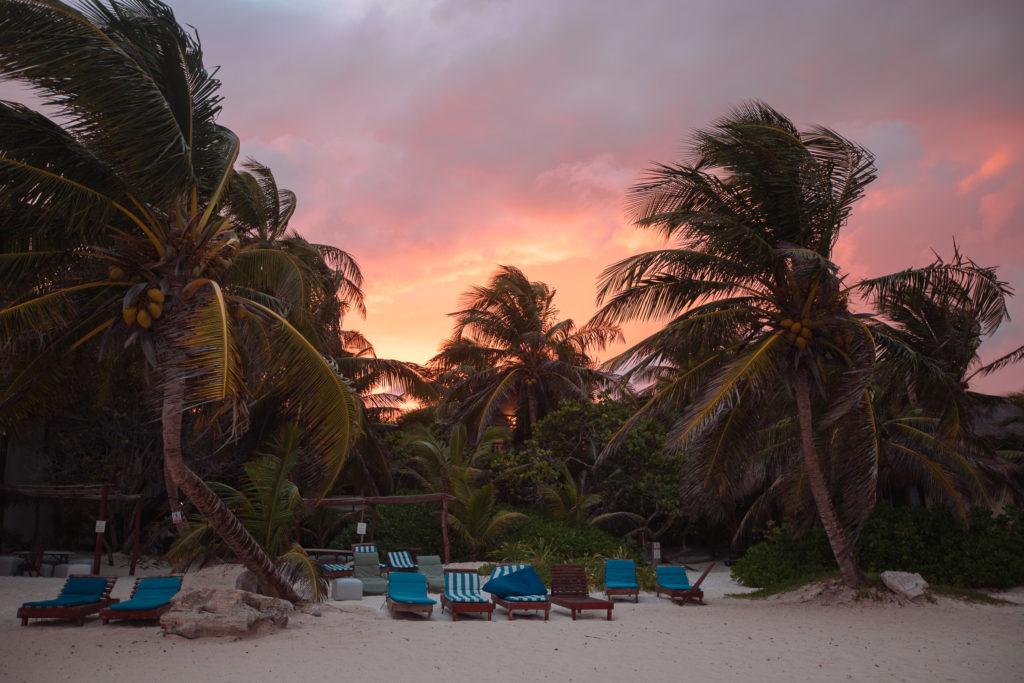 Sonnenuntergang über den Palmen vor Playa Xcanan