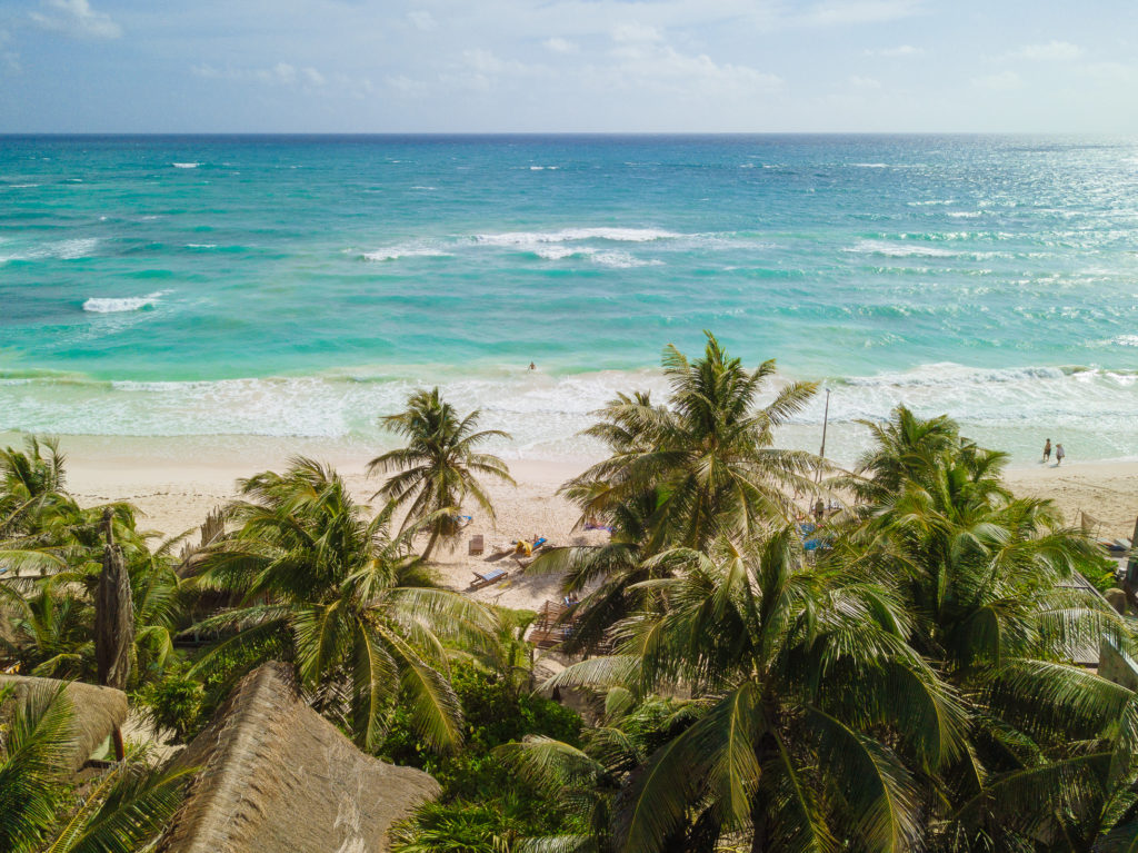 Palmen der Playa Xcanan mit Strand und Meer von oben