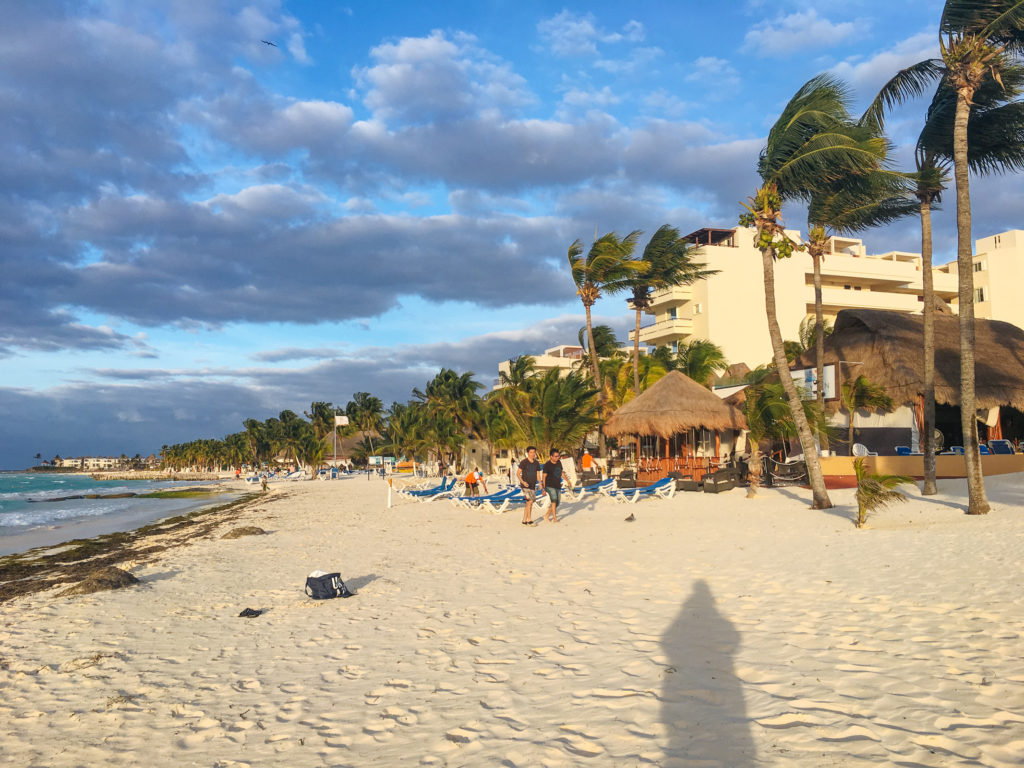 Abendsonne und windgepeitschte Palmen an der Playa Norte