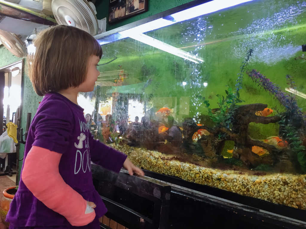 Töchterlein mit pinkem Gips beschaut Aquarium im Don Caféto Tulum